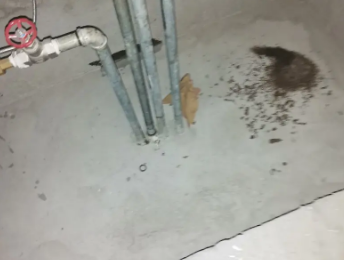 西宁市卫生间测漏水价格明细